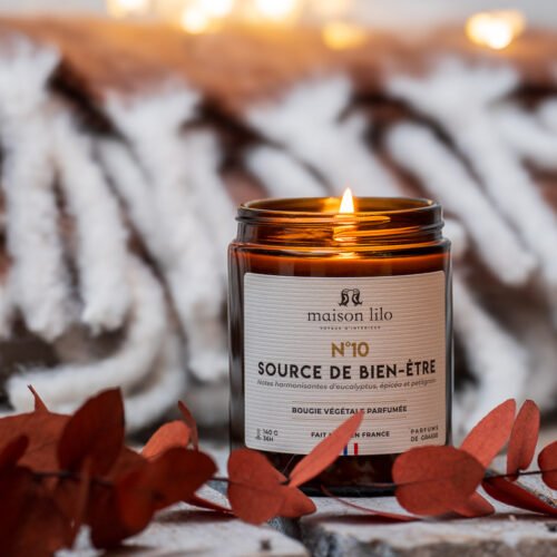 Bougie végétale parfumée N°10 Source de bien-être-140g